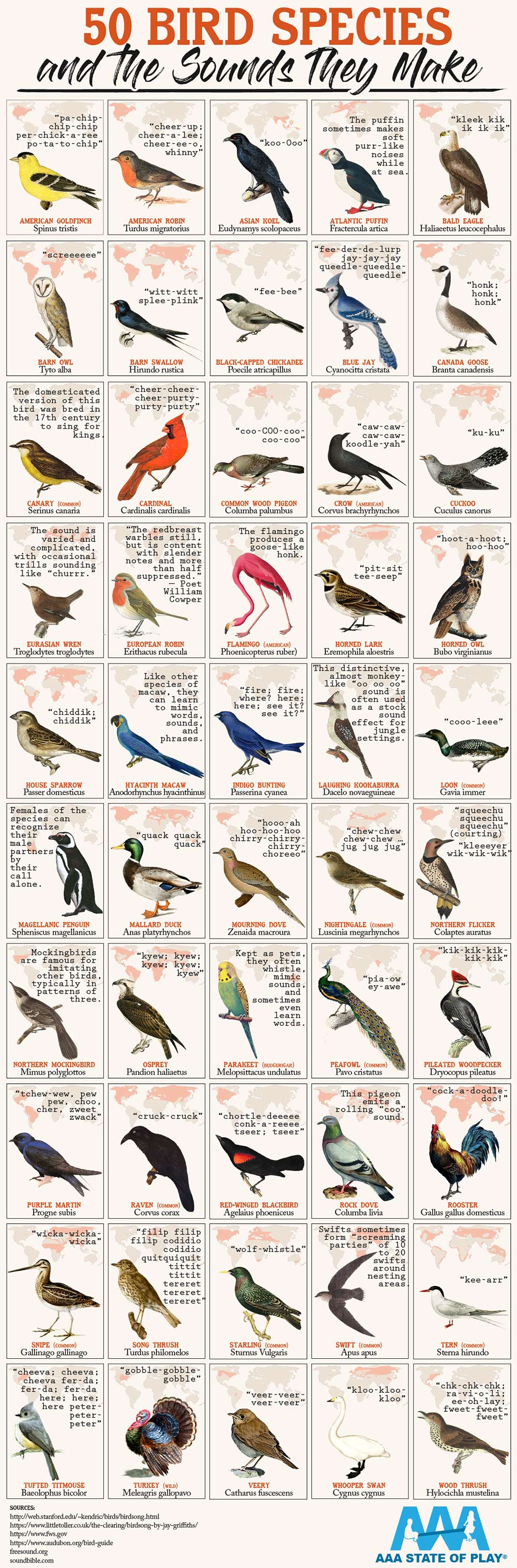 NCC Land Lines 50 Bird Species And The Sounds That They Make