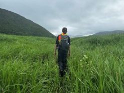 NCC intern Colin Decoste trudging through tall grass in the Grasses Nature Reserve. Photo by Jennifer Sullivan (NCC staff)