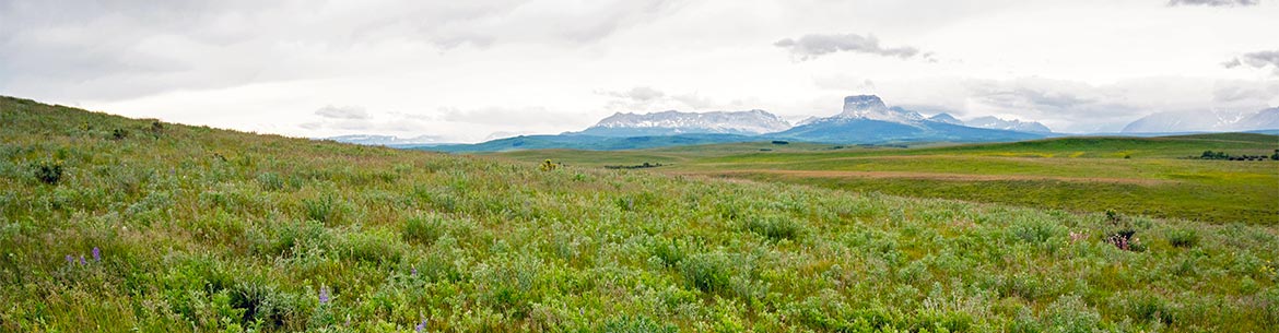 Adams Ranch (Photo by Sean Feagan / NCC Staff)