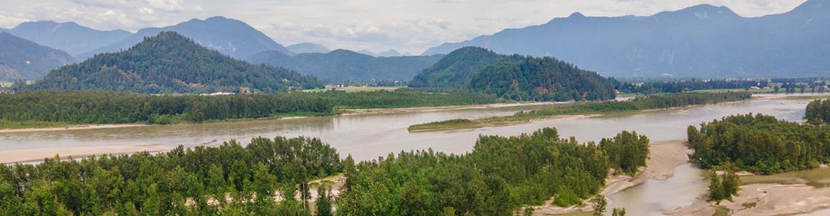 Carey Island is located within the lower Fraser River. (Photo by Fernando Lessa)