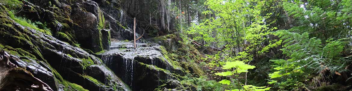 Cottonwood Lake Conservation Area (Photo by NCC)