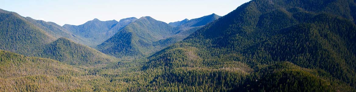 Clayoquot Sound Conservancies. (Photo by Brian Evans/Nature United)