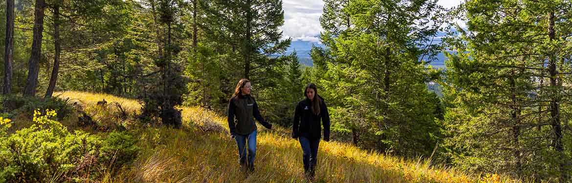 Geddes Creek Conservation Area. (Photo by Nick Nault)