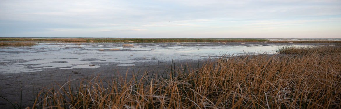 Lake Ranch, MB (Photo by Thomas Fricke)