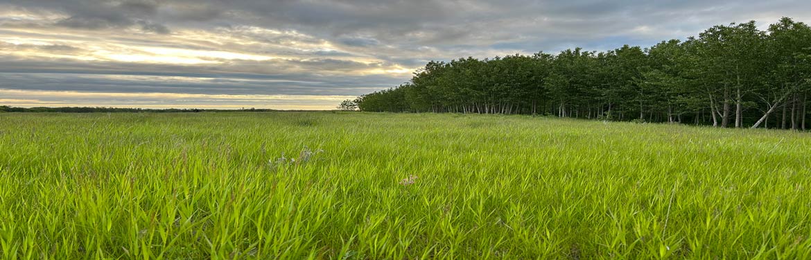 Langford Escarpment (Photo by Lauren James / NCC Staff)