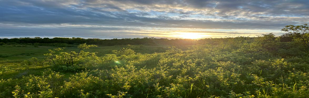 Langford Escarpment is a high priority for grassland conservation and the economy due to its connection to the Langford Community Pasture. (Photo by NCC Staff)