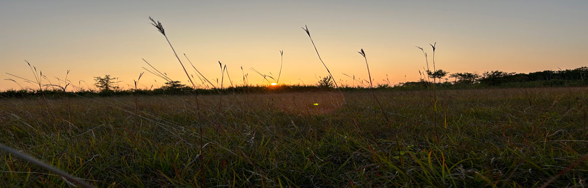 Sunset at Tall Grass Prairie