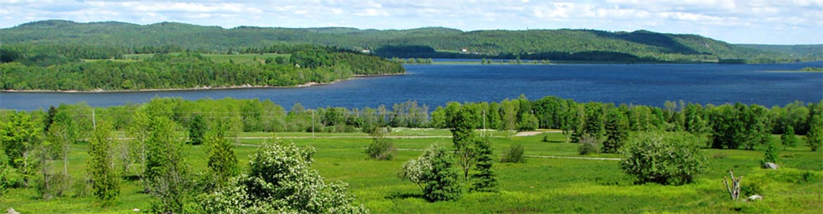 Shampers Bluff, NB (Photo by Freeman Patterson)