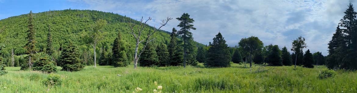 Grasses Nature Reserve Panorama. Photo by Heather Baehre (NCC)