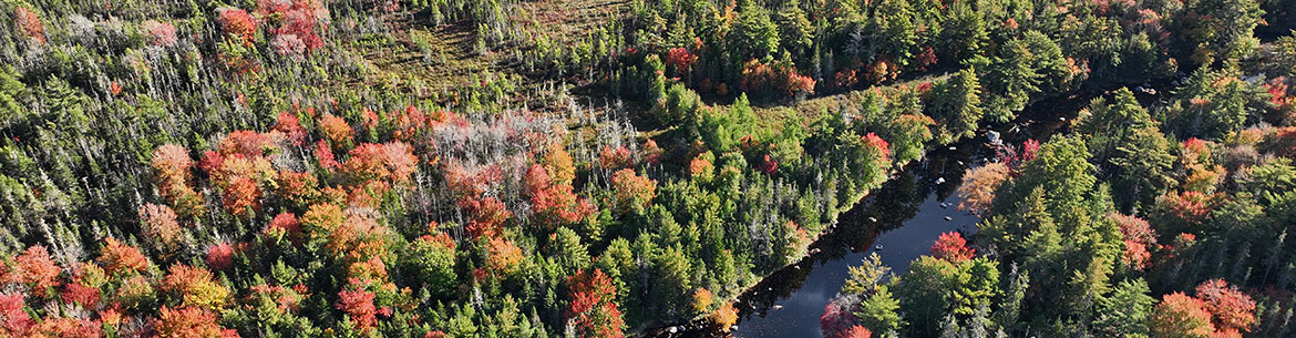 Réserve naturelle Clyde River, N.-É. (Photo Mike Dembeck)