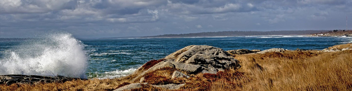 Réserve naturelle West Head, N.-É. (Photo Bill Crosby)