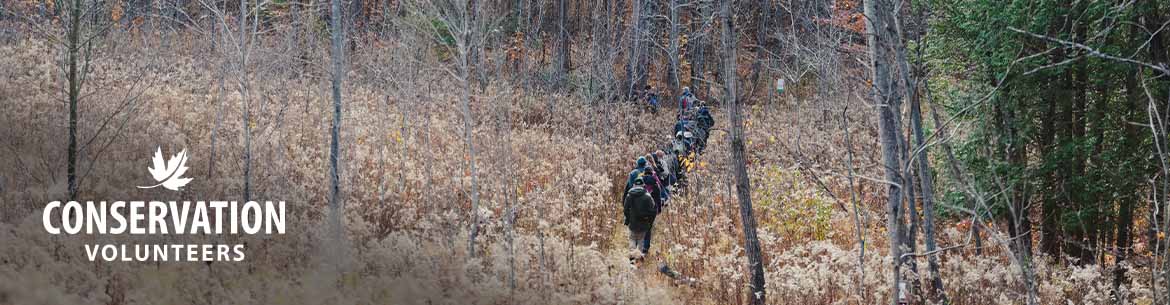 Volunteers walking autumn at Happy Valley Forest, ON. Photo by Brianna Roye