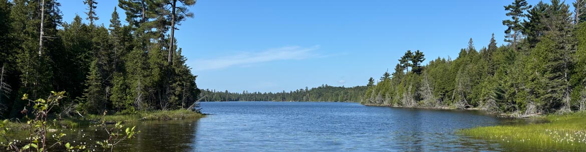 Lac Morrison, Ont. (Photo Danielle Pearcy)