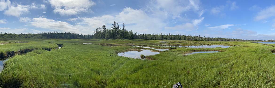 Percival River, PEI  (Photo by NCC)