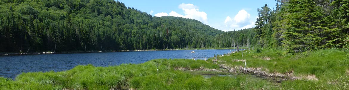 Lac Caché, Barbara Richardson Wildlife Foundation property, Laurentians (Photo by NCC)