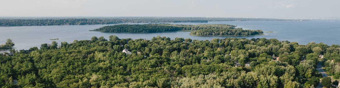 Pointe du Domaine woodland (Photo by La Halte Studio)