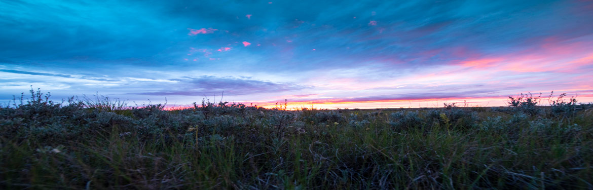 The Zenridge property features beautiful rolling hills, grasslands, seasonal creeks, streams and wetlands (Photo by Jason Bantle)