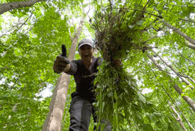 Rishona Vemulapalli, NCC Intern 2024 (Photo by NCC)