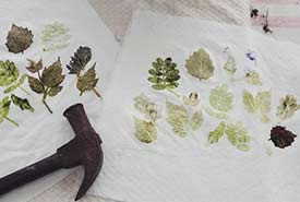 Leaf printing. (Photo by Sage Yathon)