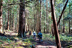 Hiking along Halfmoon Bay (Photo by Ellen Adelberg)