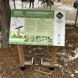 At places like the Lincoln Wetland site near Fredericton, New Brunswick, NCC installed boot brushes, an effective way of removing potential invasive plant seeds, for visitors before they hit the trail and before they leave the site. (Photo Jennifer White/NCC staff)
