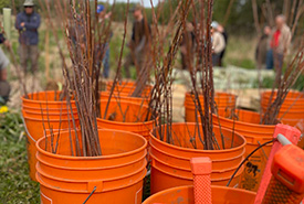 Equipment for riparian tree planting event (Photo by Carolyn Davies/NCC Staff)