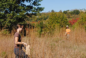 Volunteers collecting native prairie seeds on the Rice Lake Plains (Photo by NCC)