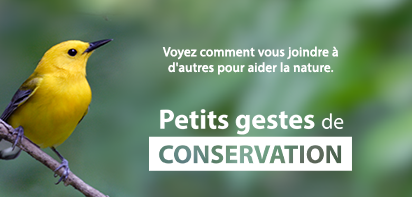 Petits Gestes de Conservation - Relevez le défi pour courir la chance de gagner