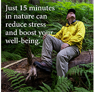 Just 15 minutes in nature can reduce stress and boost your well-being