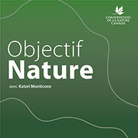 Balado - Objectif Nature - Épisode 1