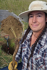 Removing perennial baby’s breath by hand, some of which were nearly 2 metres below ground (Photo by Taylor Glover/NCC Staff)