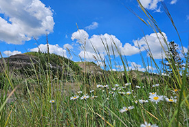 The best view you could ask for when taking a break for lunch, at Fyten Lea, AB (Photo by Taylor Glover/NCC Staff)