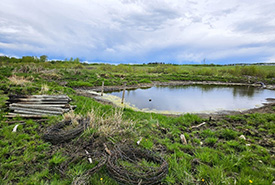 Fence and post removal at NCC’s Haynes property, near Pine Lake, AB (Photo by Taylor Glover/NCC Staff)