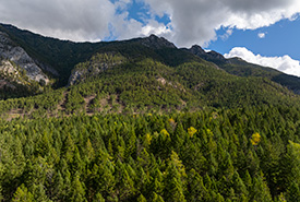 Geddes Creek Conservation Area. (Photo by Nick Nault)