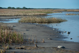 Lake Ranch, MB (Photo by Thomas Fricke)