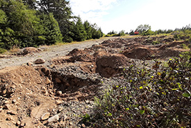 Existing soil was loosened through the creation of pits and mounds (Photo by Aaron Dowding/NCC staff)