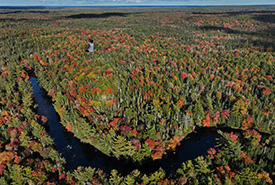 Réserve naturelle Clyde River, N.-É. (Photo Mike Dembeck)