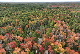 Réserve naturelle Clyde River, N.-É. (Photo Mike Dembeck)