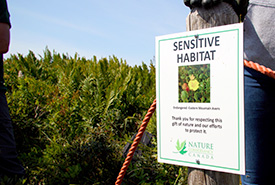 A third of the Nova Scotian population grows on NCC’s Brier Island Nature Reserve (Photo by Brainworks)