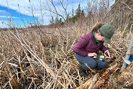 The team performs regular monitoring of the wetland during the summer months (Photo by Lanna Campbell/NCC staff)