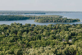 Boisé de la Pointe-du-Domaine (Photo de La Halte Studio)