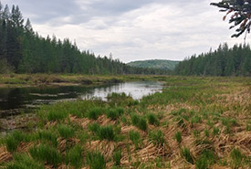 Shawinigan, Qc (Photo by NCC)