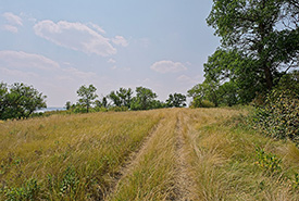 Last Mountain Lake, SK (Photo by Bill Armstrong)