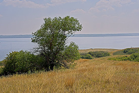 Last Mountain Lake, SK (Photo by Bill Armstrong)