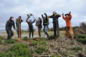  	Conservation Volunteers removing invasive species from sand dunes at James Island (Photo by NCC) 