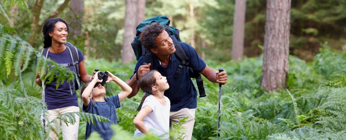 Family in the forest