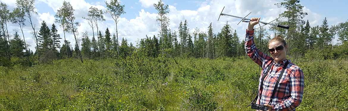 Bat Research In Saskatchewan Tracking Bats