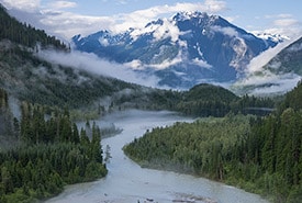 Incommapleux BC Paul Zizka Thumb