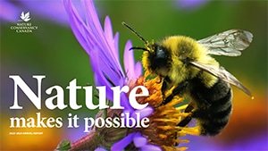 NCC AR24 Cover 300px Custom