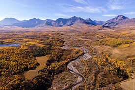 NCC BWC Ma0127 Photo By Brent Calver Thumb